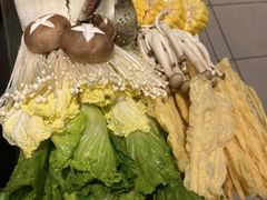 -春润大地海南椰子鸡(沙井京基百纳广场店)