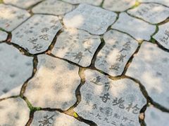 -同里国家湿地公园