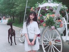 -大塘金香草谷