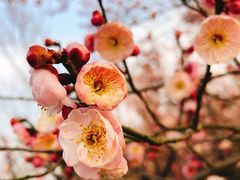 -蜀冈西峰生态公园