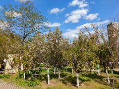 -长白岛森林公园