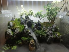 -聚缘堂·海鲜私房菜(松岭路店)