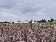 -白鹭湾湿地公园