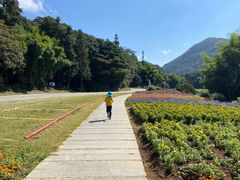 -广州市石门国家森林公园