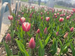 -玄武湖景区-情侣园游乐场