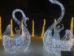 -昆山城市生态森林公园