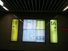 -大龙山(地铁站)