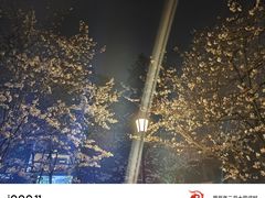 -鸡鸣赐茶(鸡鸣寺路店)