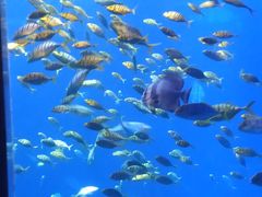 -太平洋海底世界