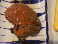 -長壹旋转烤吧 农家鸡火锅
