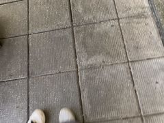 -九龙公园