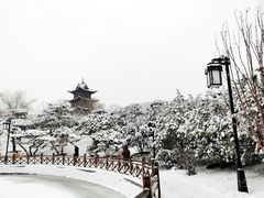 -迎泽公园