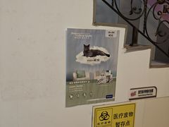 -哆趣宠物医院·眼科·内镜·急重症转诊中心(上海店)