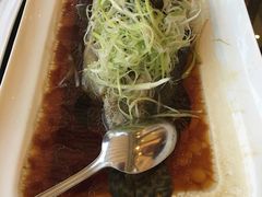 清蒸石斑鱼-凤城礼记鱼翅海鲜酒家(百老汇店)
