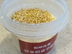 -阳坊大都涮羊肉(阳坊总店)