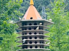 -顺峰山公园