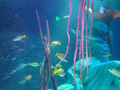 -沈阳海洋探索中心