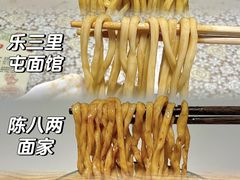 -文三里屯面馆(三里屯店)