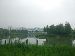 -尚贤河湿地