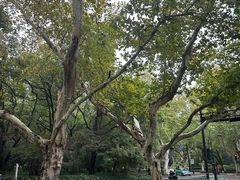 -杭州香格里拉·香宫中餐厅