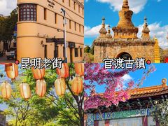 -翠湖公园