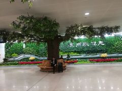 -杭州萧山国际机场