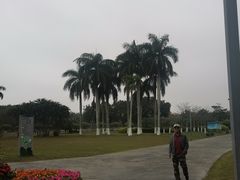 -万绿园