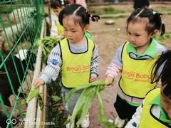 -宾果蒙特梭利托育儿童之家幼儿园(爱琴海店)