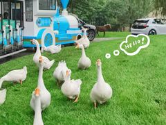 -北京野生动物园