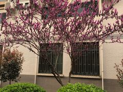 -西安外国语大学(长安校区)