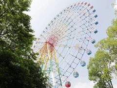 -凤凰欢乐大世界