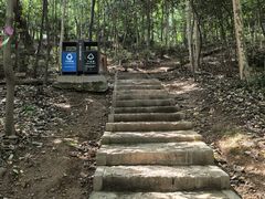 -上海佘山国家森林公园天马山园