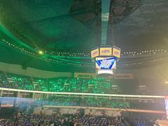 -双合园·海鲜水饺青岛菜(万佳广场店)