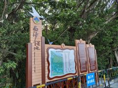 -大湾区中央湿地公园