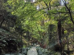 -梦姑塘文化公园