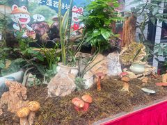 -蔼若春.传承云南菜(金碧公园店)