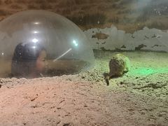 -正佳雨林生态植物园