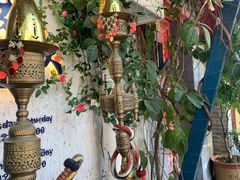 -Sirena海妖日咖夜酒