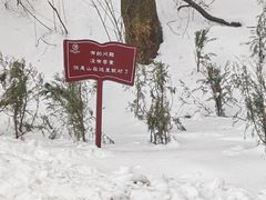 -终南山国家森林公园