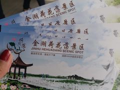 -荷花荡