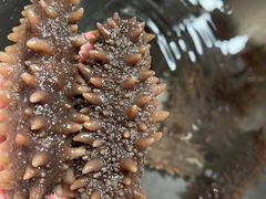 -宫品海参专卖店(静安大宁店)