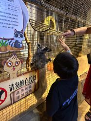 -酷嗒动物文化乐园(cutezoo西溪乐天城店)