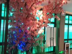 -野妹火锅(龙岗店)