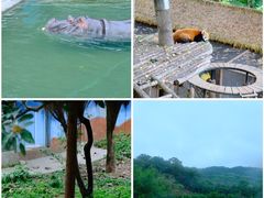 -乐和乐都主题乐园