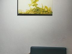 -煮叶(悠唐广场店)