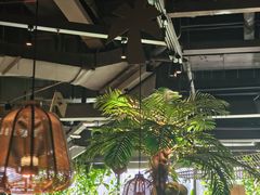 -大头椰·椰子鸡火锅(南宁万象城店)