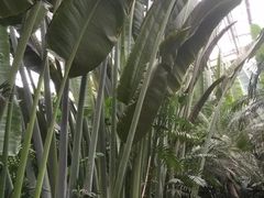 -龙达温泉生态城