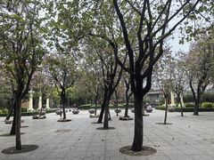 -东山湖公园