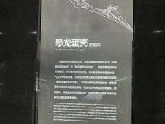 -中国西峡恐龙遗迹园