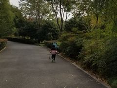 -梁鸿国家湿地公园